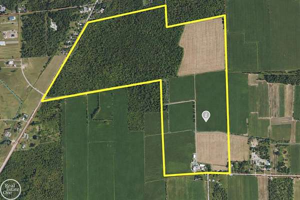 233 Acres of Land for Sale in Washington Township, Michigan