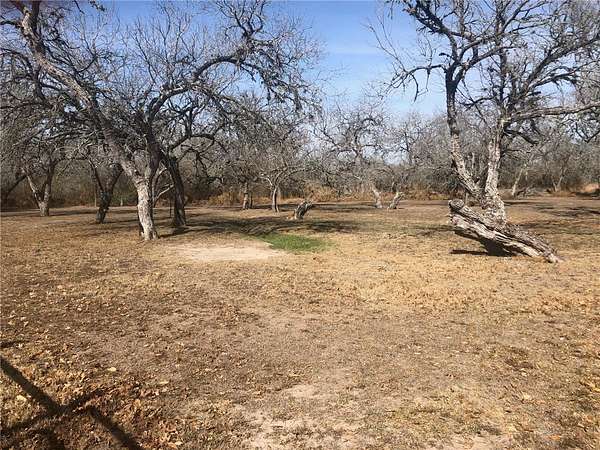 3.43 Acres of Residential Land for Sale in Normanna, Texas
