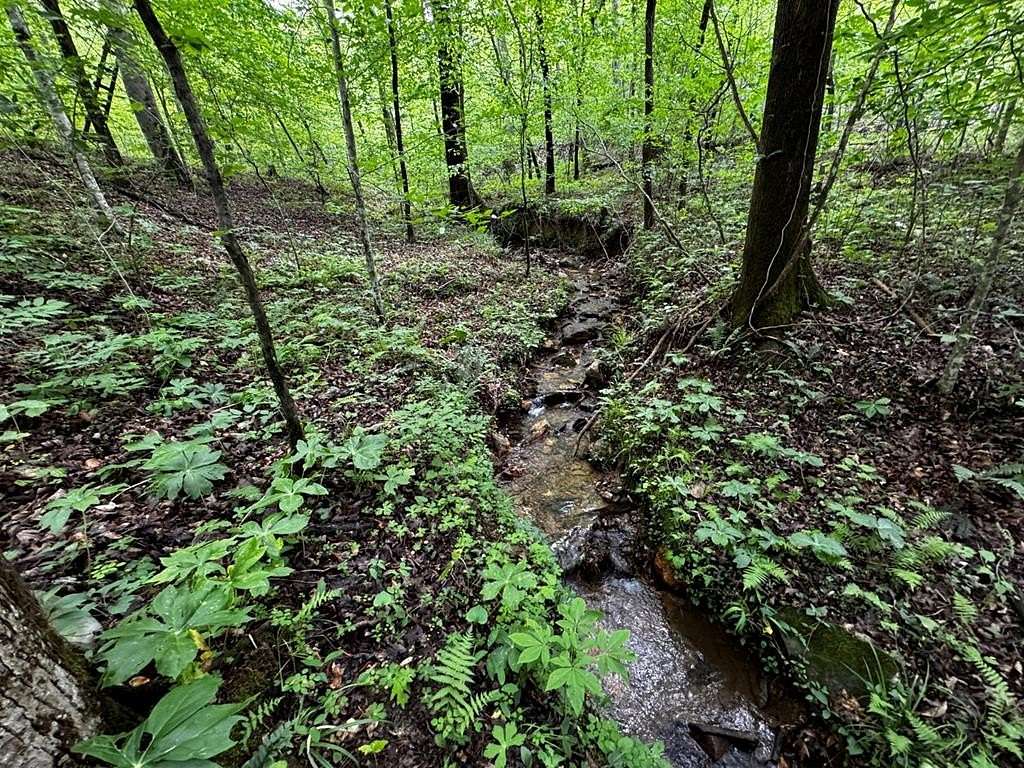 8.69 Acres of Agricultural Land for Sale in Talking Rock, Georgia