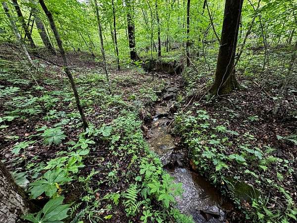 8.69 Acres of Agricultural Land for Sale in Talking Rock, Georgia