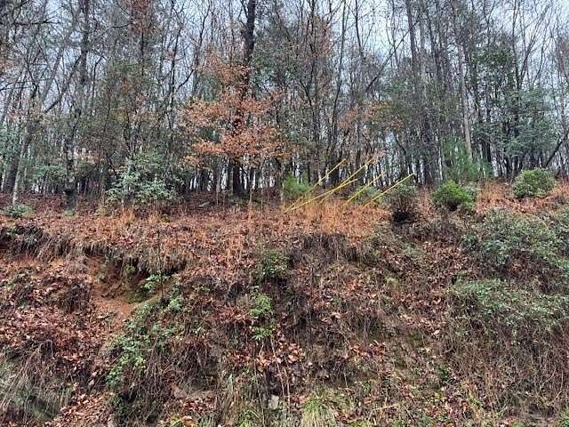 0.5 Acres of Land for Sale in Ellijay, Georgia