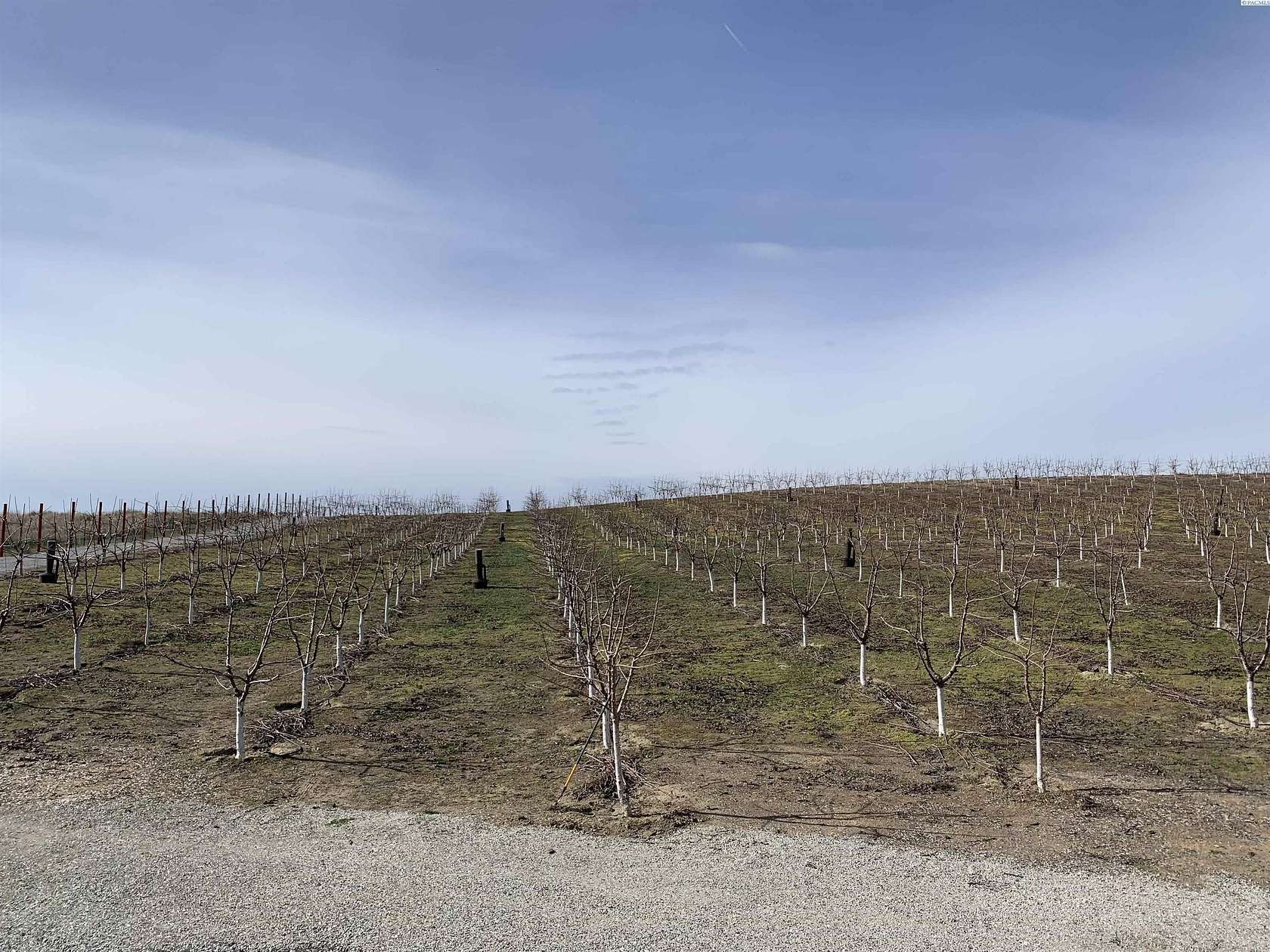 10 Acres of Land for Sale in Pasco, Washington