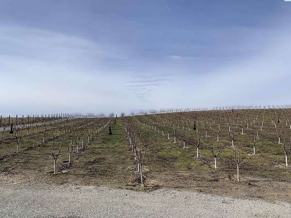 10 Acres of Land for Sale in Pasco, Washington