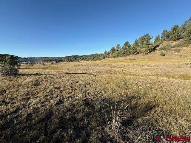 5 Acres of Residential Land for Sale in Pagosa Springs, Colorado