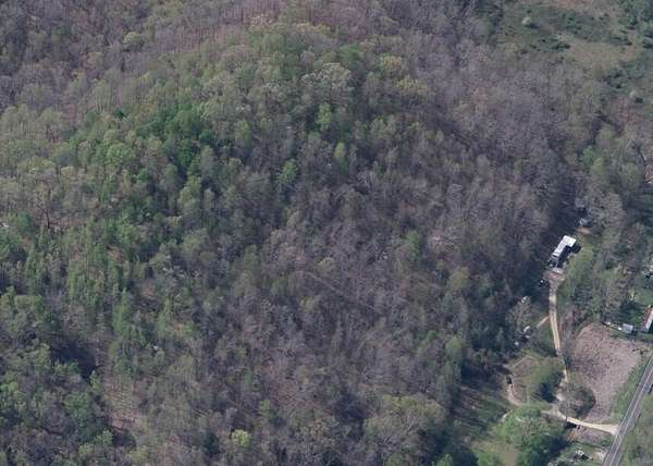 15 Acres of Land for Sale in West Liberty, Kentucky
