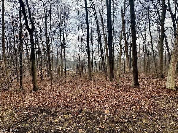 0.75 Acres of Land for Sale in Nashport, Ohio