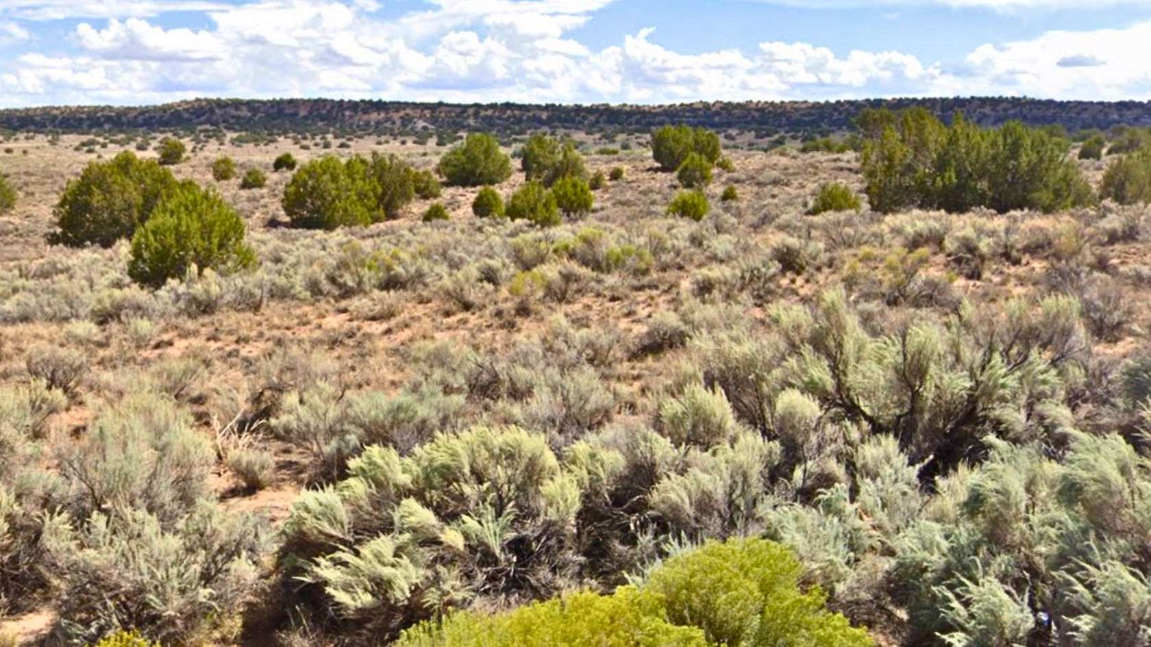 5.6 Acres of Residential Land for Sale in Sanders, Arizona