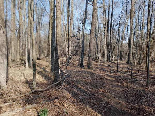 5 Acres of Mixed-Use Land for Sale in Jacksonville, Arkansas
