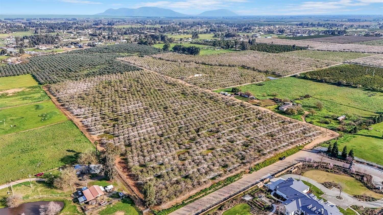 55 Acres of Agricultural & Residential Land for Sale in Clovis, California