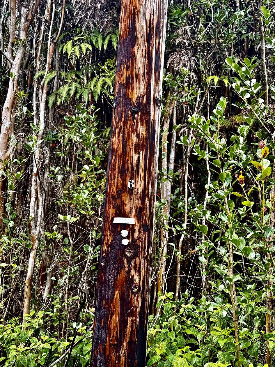 0.28 Acres of Residential Land for Sale in Mountain View, Hawaii