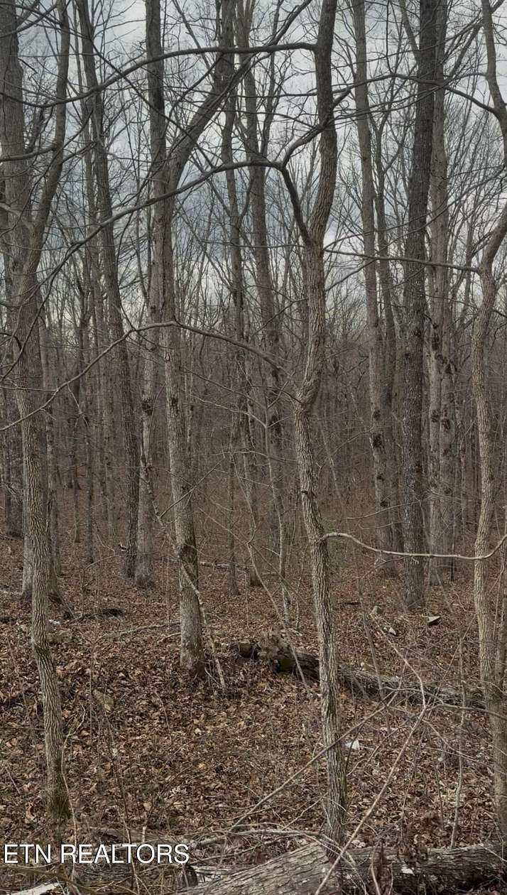 20 Acres of Land for Sale in Pikeville, Tennessee