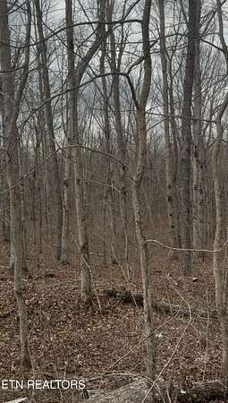 20 Acres of Land for Sale in Pikeville, Tennessee