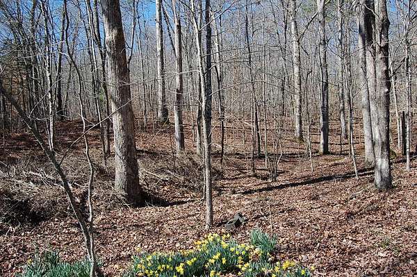 4.79 Acres of Land for Sale in Whitwell, Tennessee