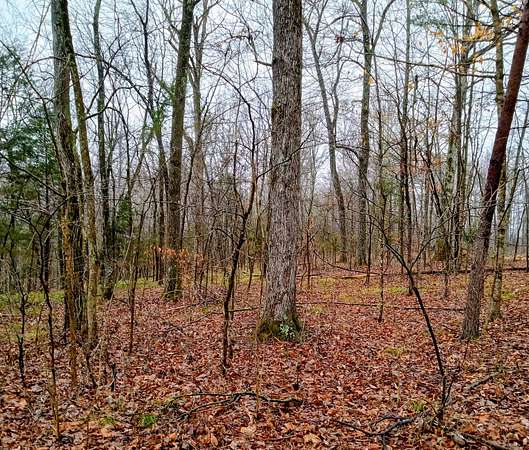 Land for Sale in Mammoth Cave, Kentucky