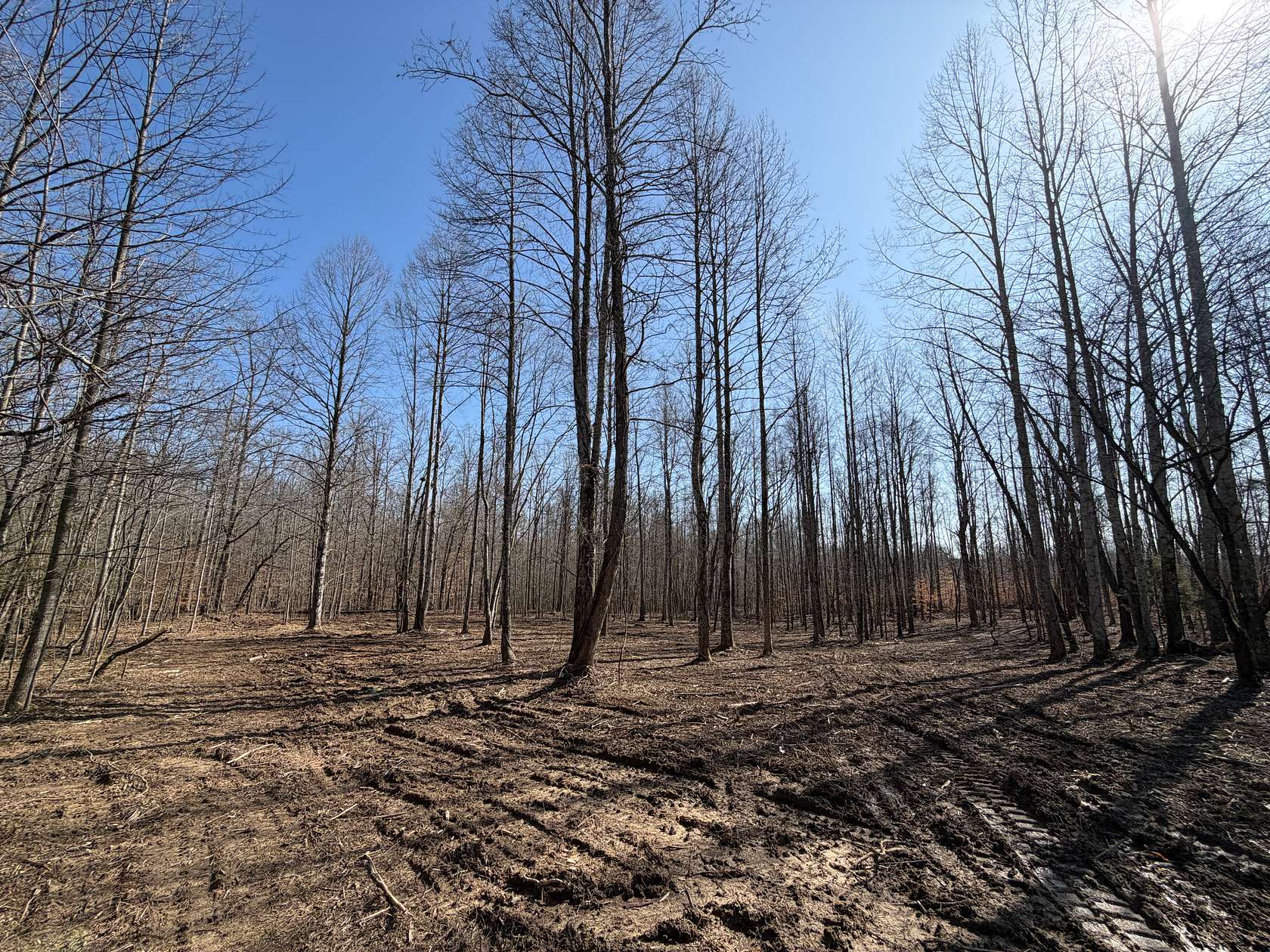 23.6 Acres of Recreational & Residential Land for Sale in Eubank, Kentucky