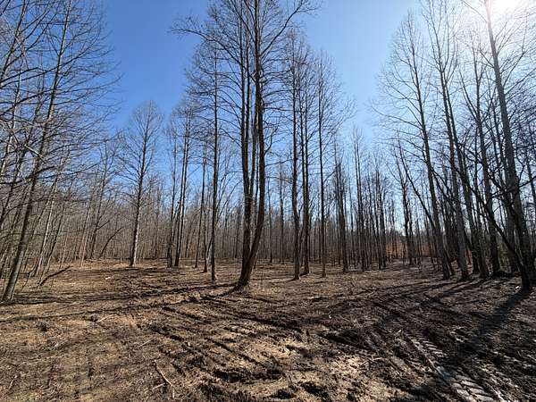 23.6 Acres of Recreational & Residential Land for Sale in Eubank, Kentucky