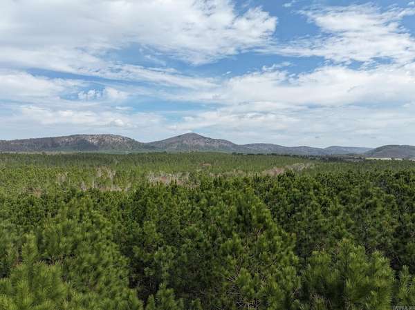 81.1 Acres of Recreational Land for Sale in Langley, Arkansas