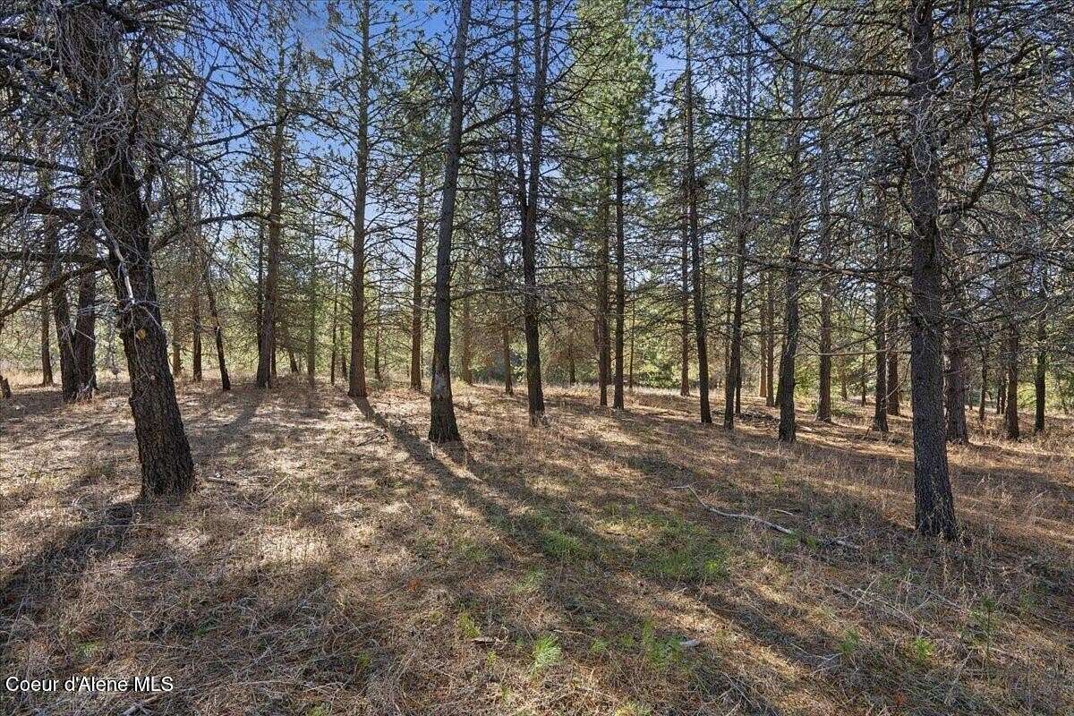 5 Acres of Residential Land for Sale in Spirit Lake, Idaho