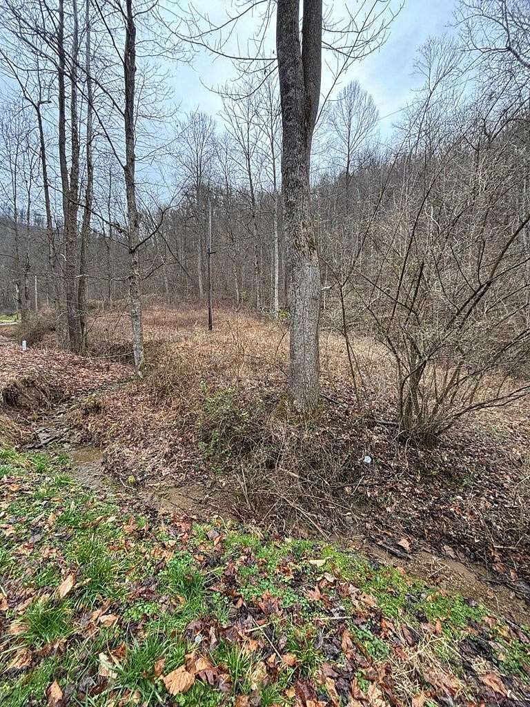 23.8 Acres of Recreational Land for Sale in Langley, Kentucky