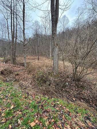23.8 Acres of Recreational Land for Sale in Langley, Kentucky