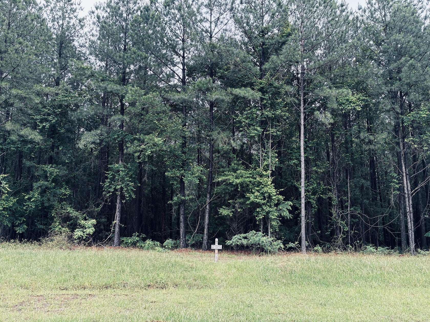 1.24 Acres of Residential Land for Sale in Jasper, Tennessee