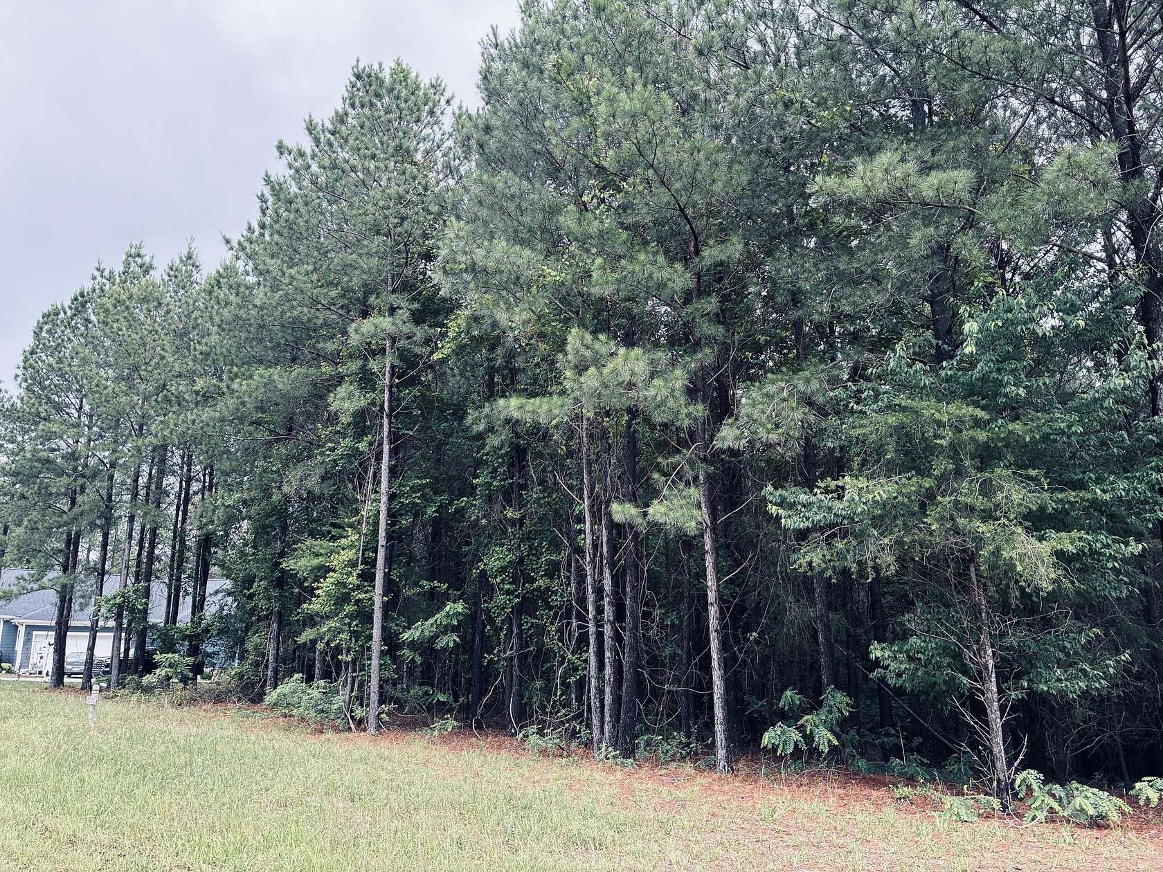1.24 Acres of Residential Land for Sale in Jasper, Tennessee