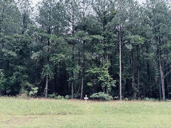 1.24 Acres of Residential Land for Sale in Jasper, Tennessee