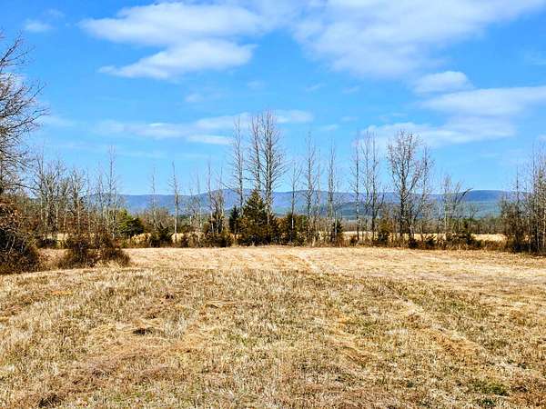20 Acres of Land for Sale in Muse, Oklahoma