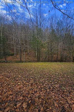 3.26 Acres of Land for Sale in Gandeeville, West Virginia