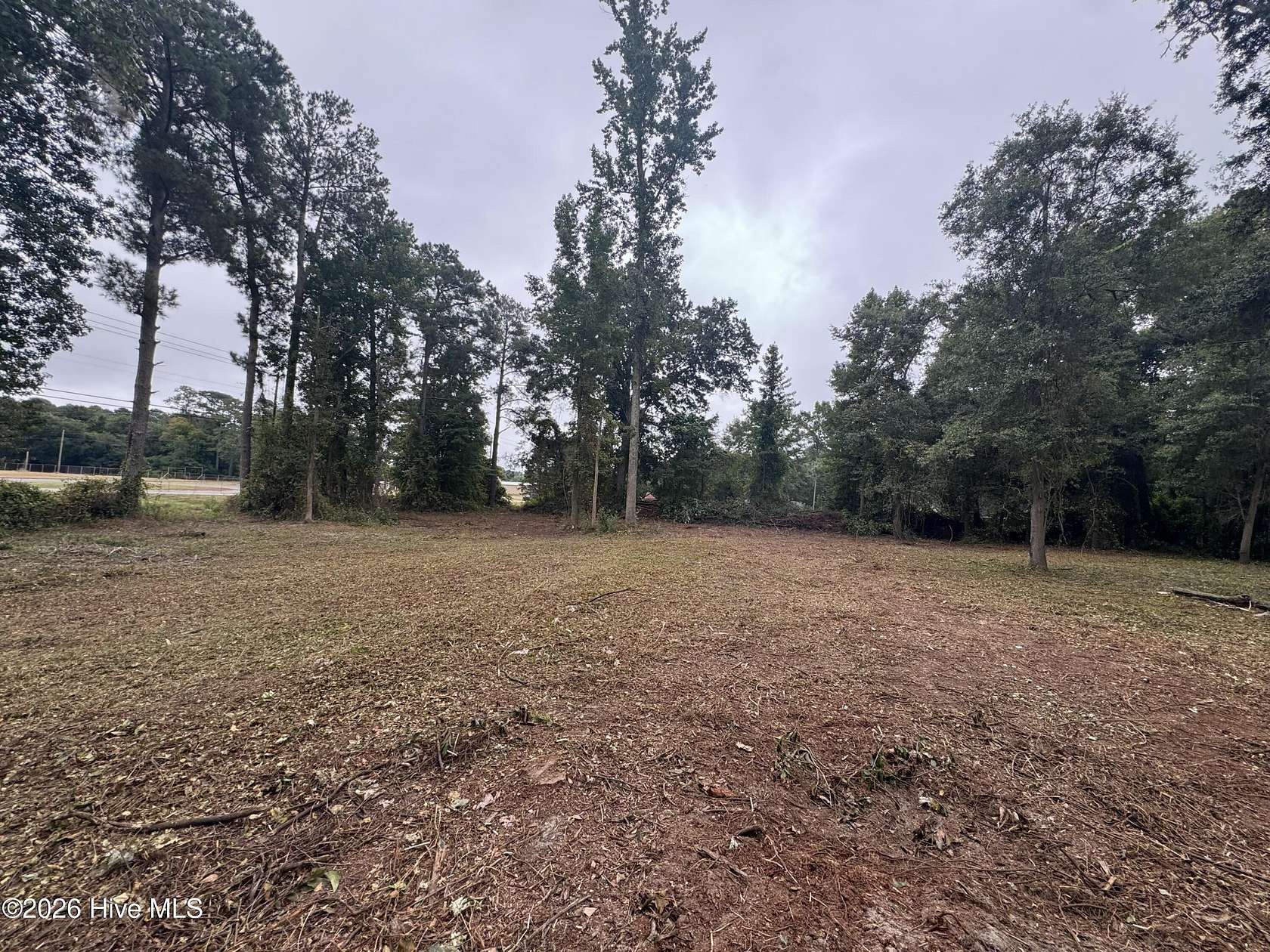 0.74 Acres of Residential Land for Sale in Dudley, North Carolina