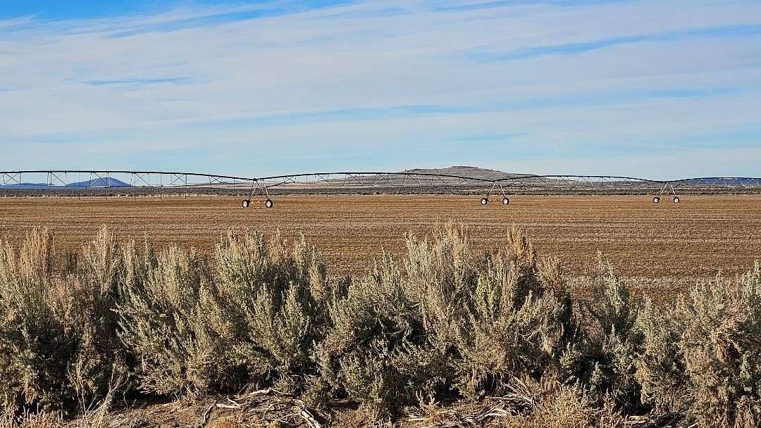 10 Acres of Recreational & Residential Land for Sale in Christmas Valley, Oregon