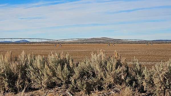 10 Acres of Recreational & Residential Land for Sale in Christmas Valley, Oregon