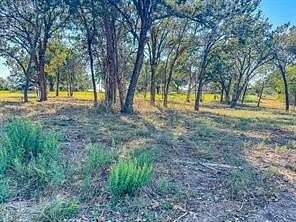 1 Acre of Residential Land for Sale in Corsicana, Texas