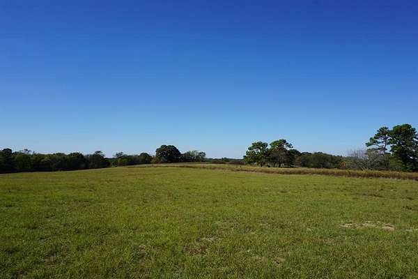 23 Acres of Agricultural Land with Home for Sale in Naples, Texas