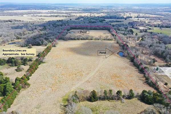 39.8 Acres of Mixed-Use Land for Sale in Fairfield, Texas