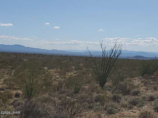 4.7 Acres of Land for Sale in Yucca, Arizona