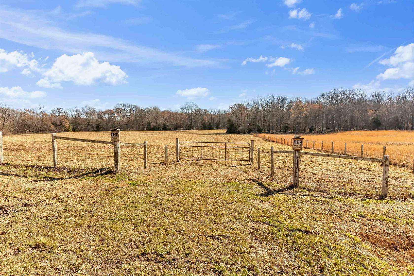 20 Acres of Recreational & Residential Land for Sale in Mason, Tennessee