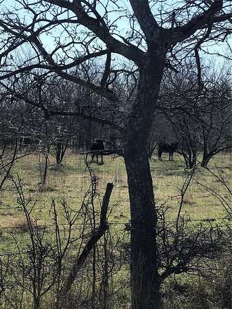 13.8 Acres of Land for Sale in Collinsville, Texas