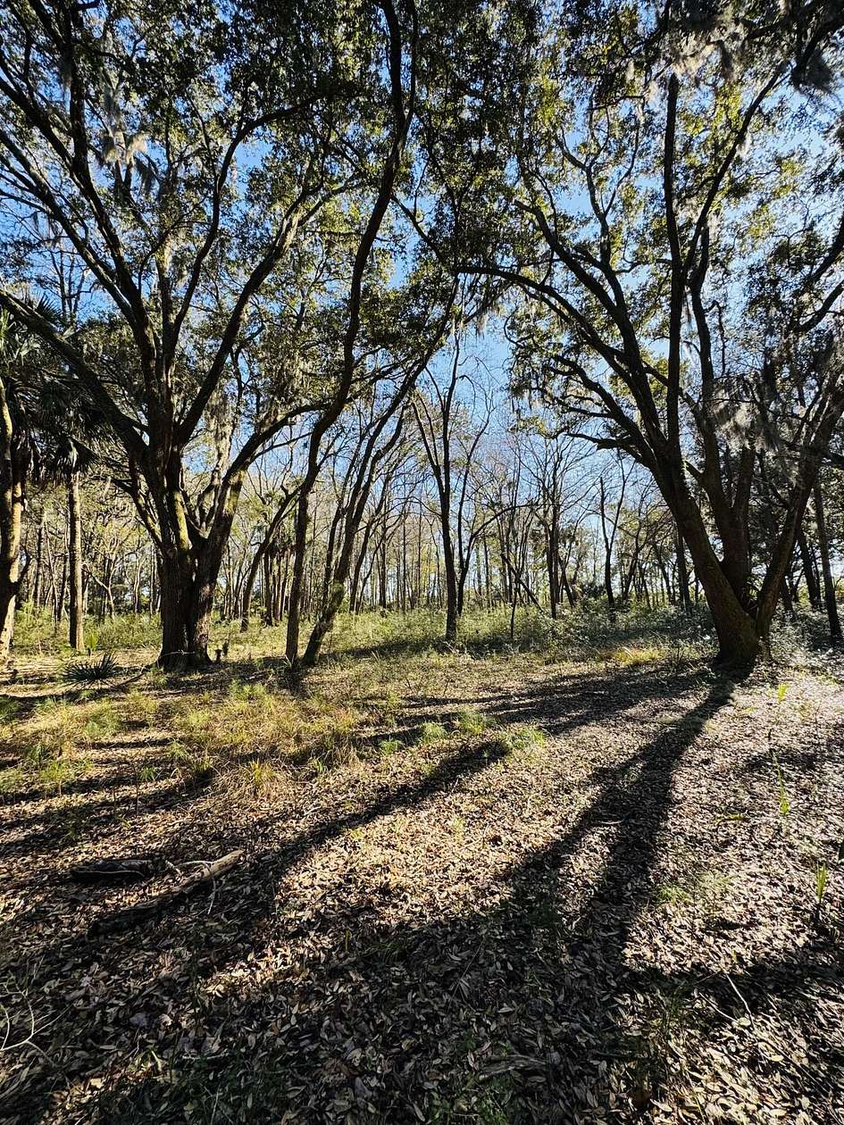 16.3 Acres of Land for Sale in Edisto Island, South Carolina