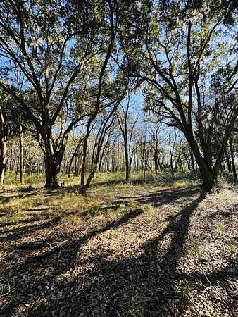16.3 Acres of Land for Sale in Edisto Island, South Carolina