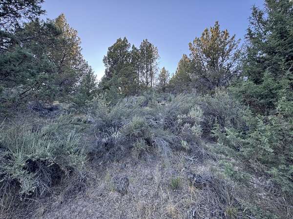 1.55 Acres of Residential Land for Sale in Sprague River, Oregon