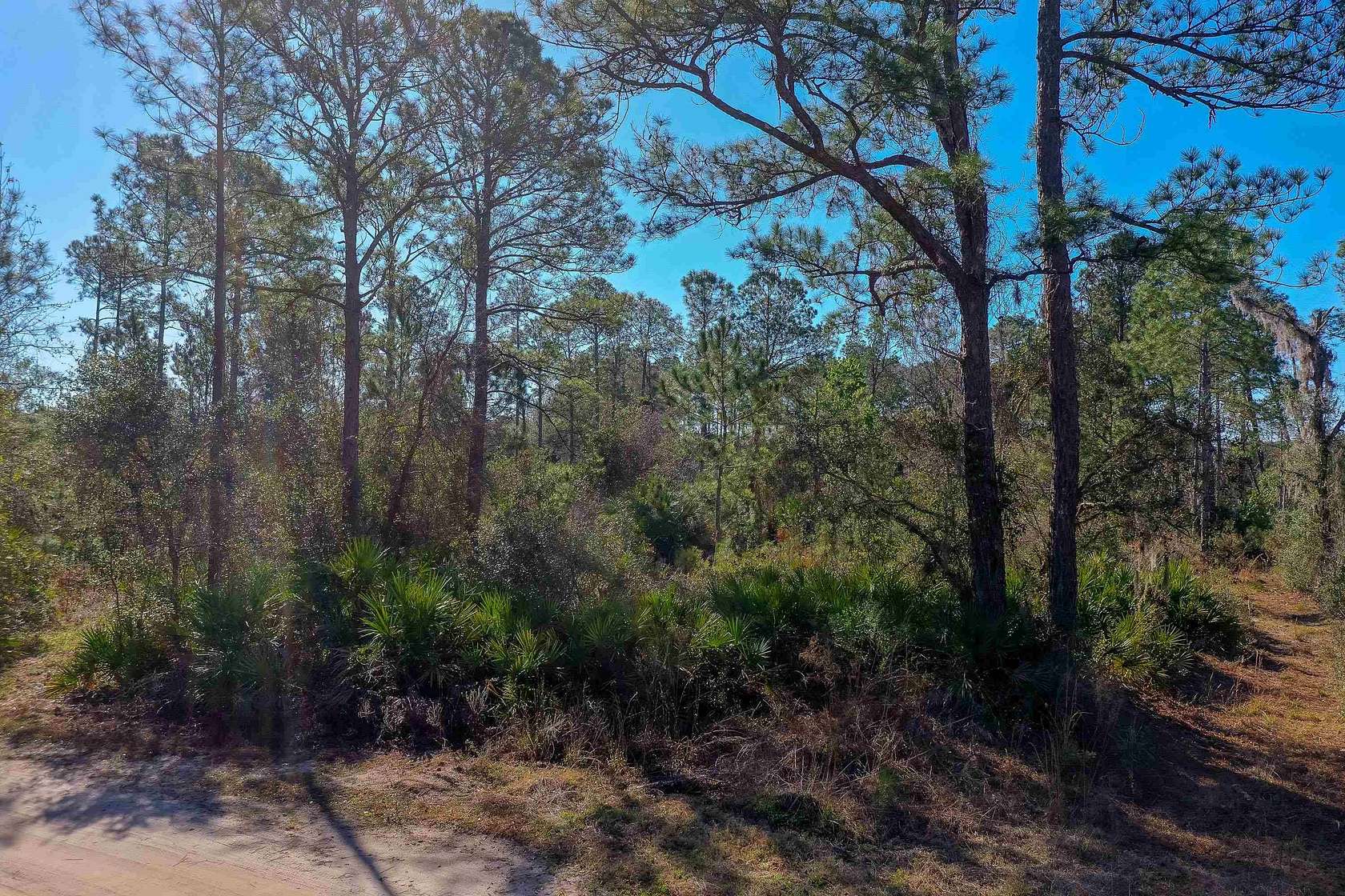 1 Acre of Residential Land for Sale in DeLand, Florida