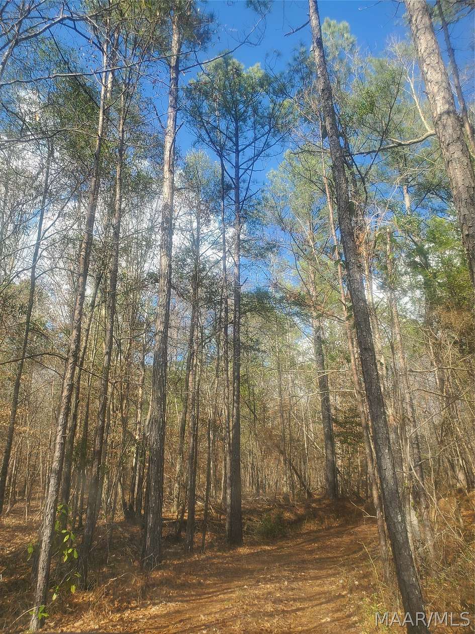 70 Acres of Recreational & Residential Land for Sale in Greensboro, Alabama