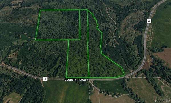 70 Acres of Recreational & Residential Land for Sale in Greensboro, Alabama