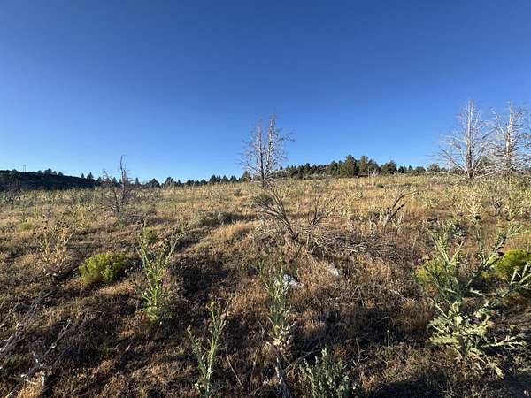 1.5 Acres of Residential Land for Sale in Sprague River, Oregon