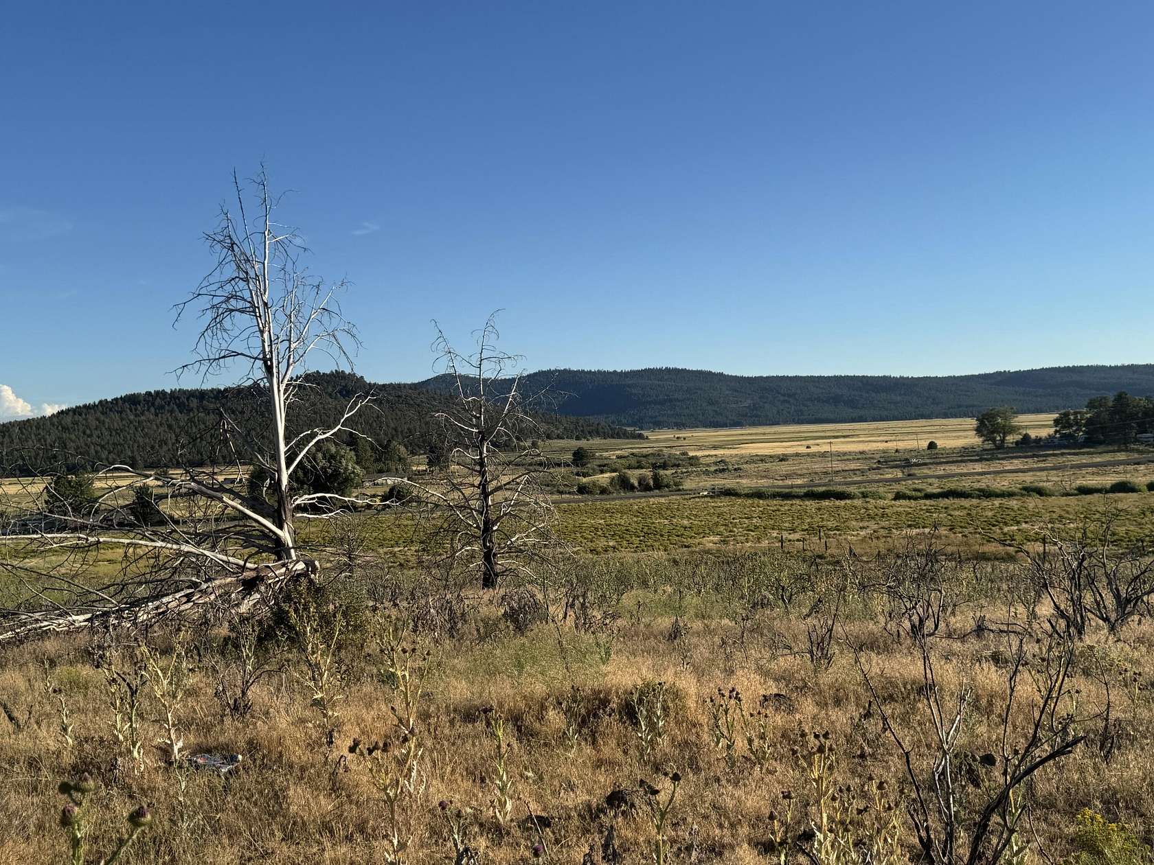 1.5 Acres of Residential Land for Sale in Sprague River, Oregon