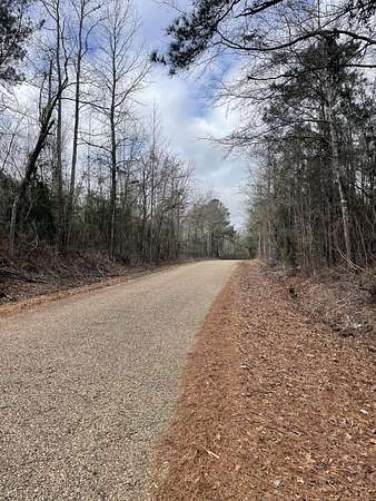 95 Acres of Recreational Land for Sale in Magee, Mississippi