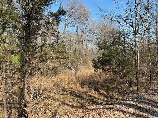 10.4 Acres of Land for Sale in Mayflower, Arkansas