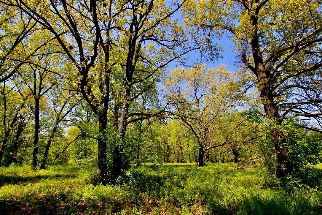 9 Acres of Mixed-Use Land for Sale in Berryville, Arkansas