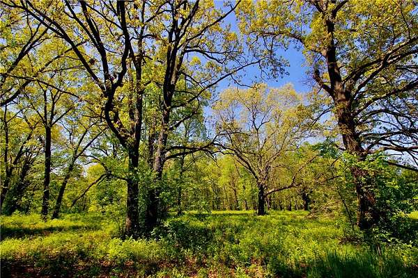 9 Acres of Mixed-Use Land for Sale in Berryville, Arkansas